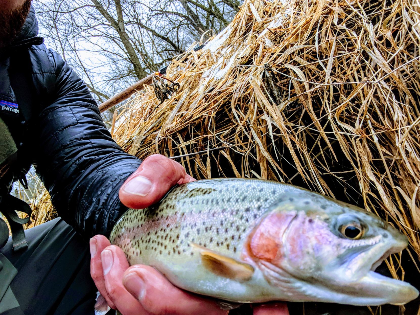 Quad-City Times Best Fish Photo Contest